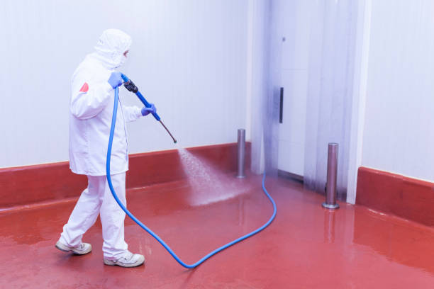 Best Building Exterior Washing  in West Lawn, PA